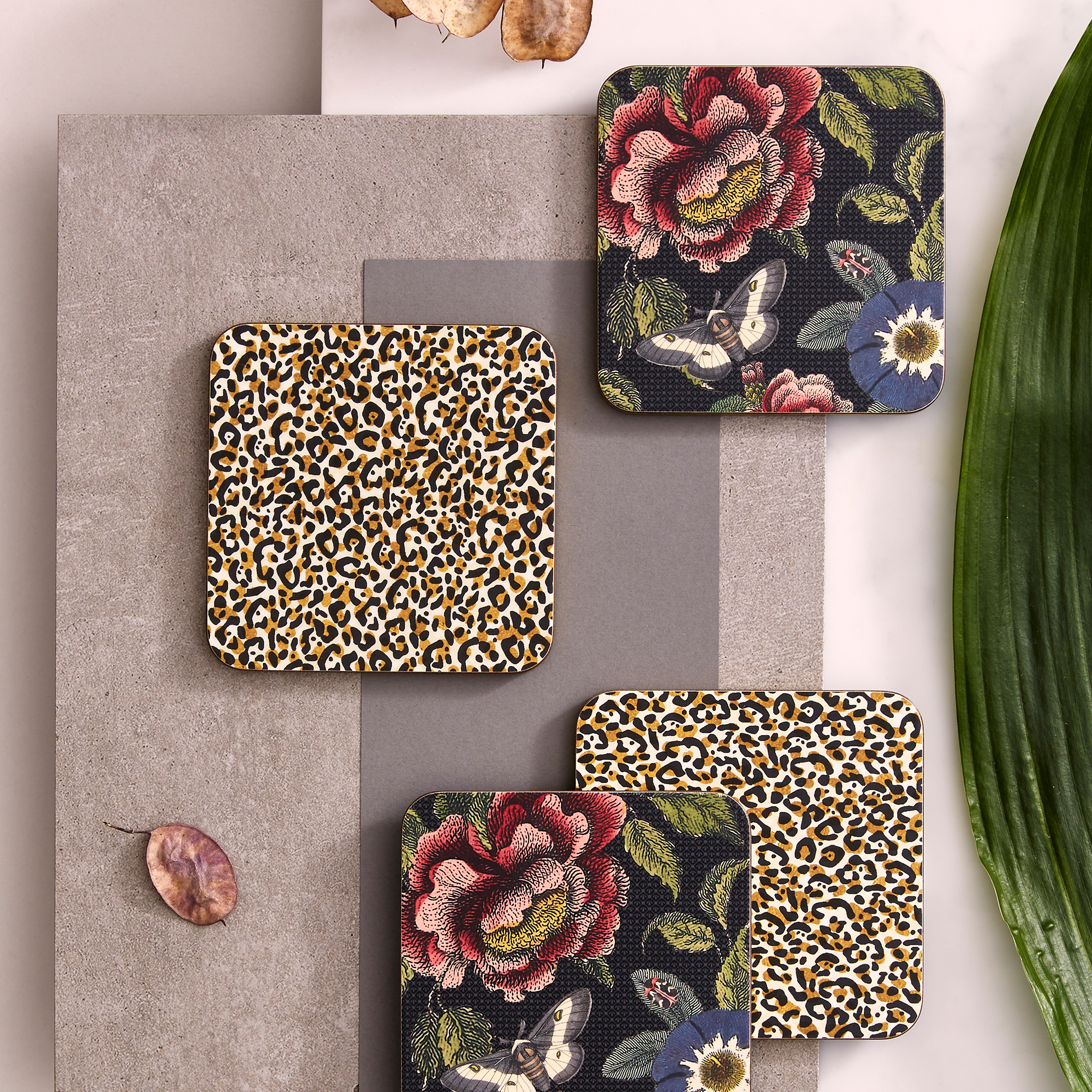 Creatures of Curiosity Set of 4 Coasters image number null